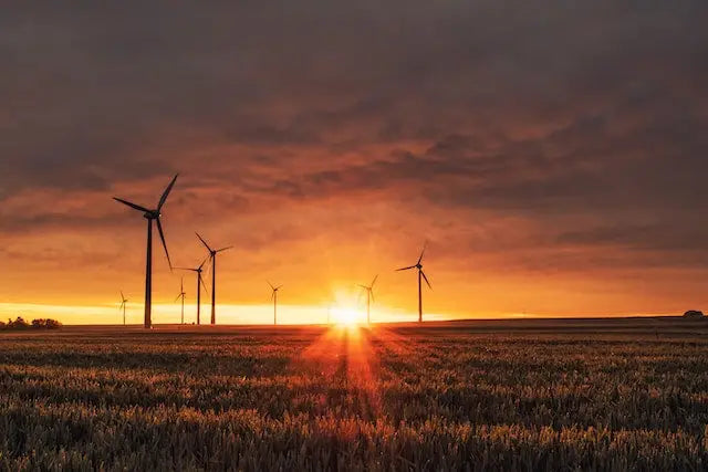 DC Renew: how we’re helping save money and the planet