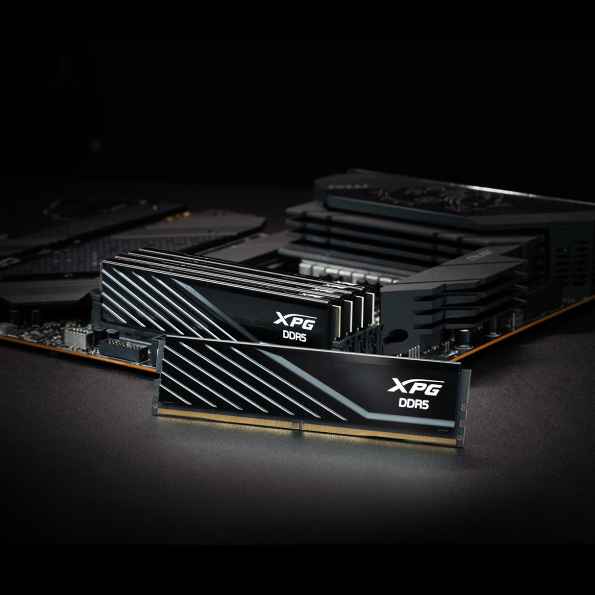 ADATA AX5U6000C4816G-DTLABBK memory module 32 GB 2 x 16 GB DDR5 6000 MHz ECC