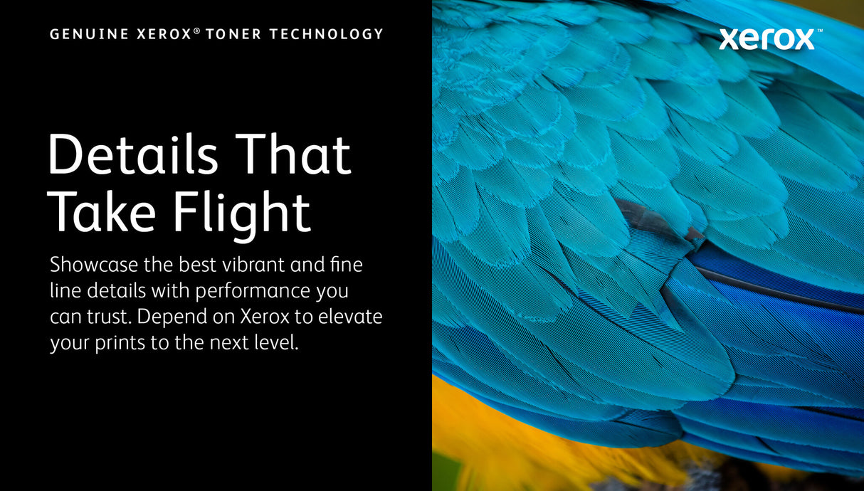 Xerox Genuine ® C230 Color Printer/C235 Color Multifunction Printer Magenta Standard capacity Toner Cartridge (1500 Pages) - 006R04385