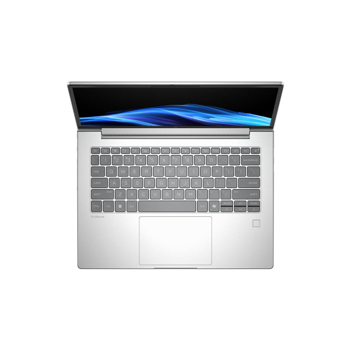 HP ProBook 4 G1a AI PC AMD Ryzen™ 7 250 Laptop 35.6 cm (14") WUXGA 16 GB DDR5-SDRAM 512 GB SSD Wi-Fi 7 (802.11be) Windows 11 Pro Silver