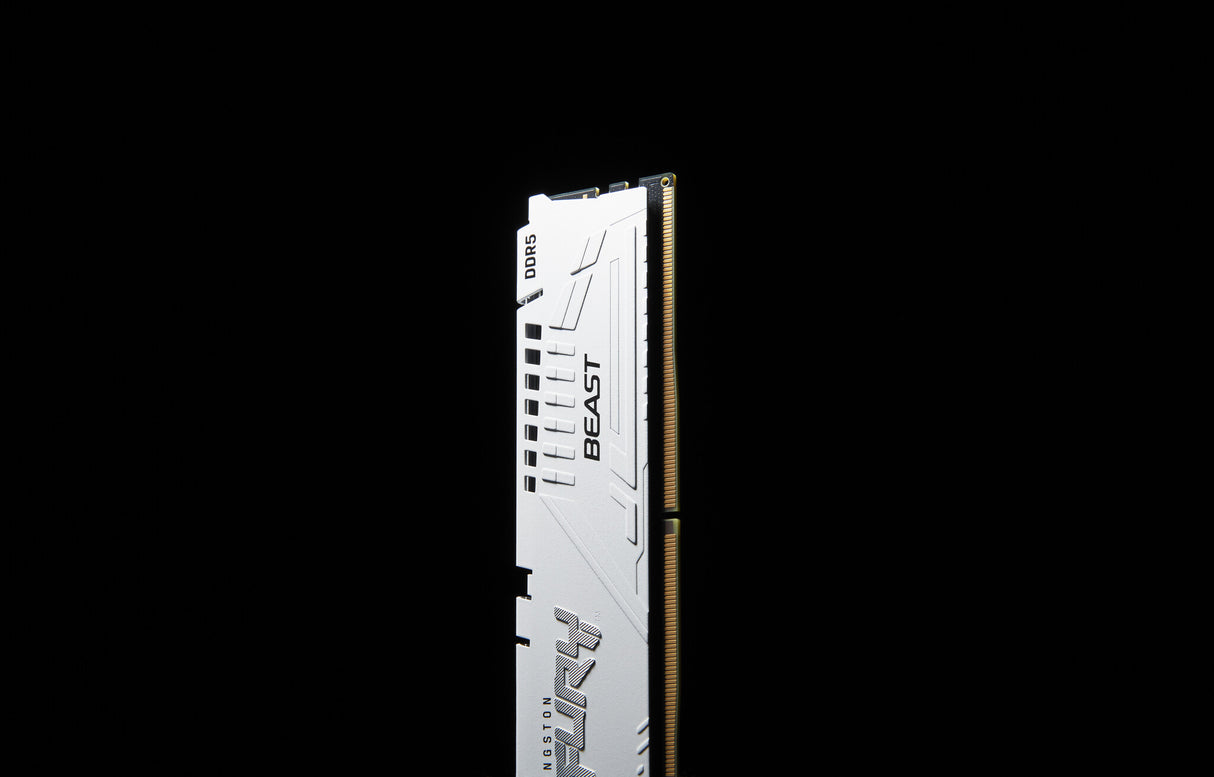 Module RAM Kingston FURY Beast, 32 Go (2 x 16 Go), DDR5, 5 600 MHz, ECC sur puce, sans tampon, 288 broches, DIMM