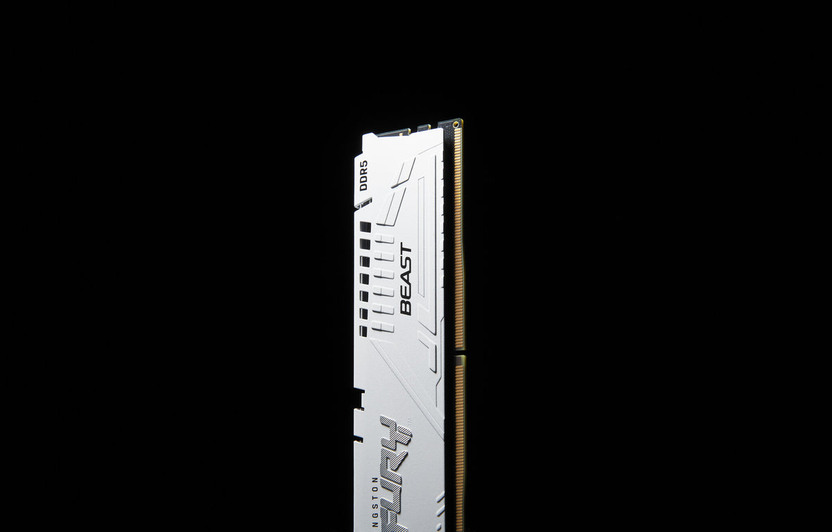 Kingston Technology FURY Beast 64GB 6400MT/s DDR5 CL32 DIMM (Kit of 2) White EXPO