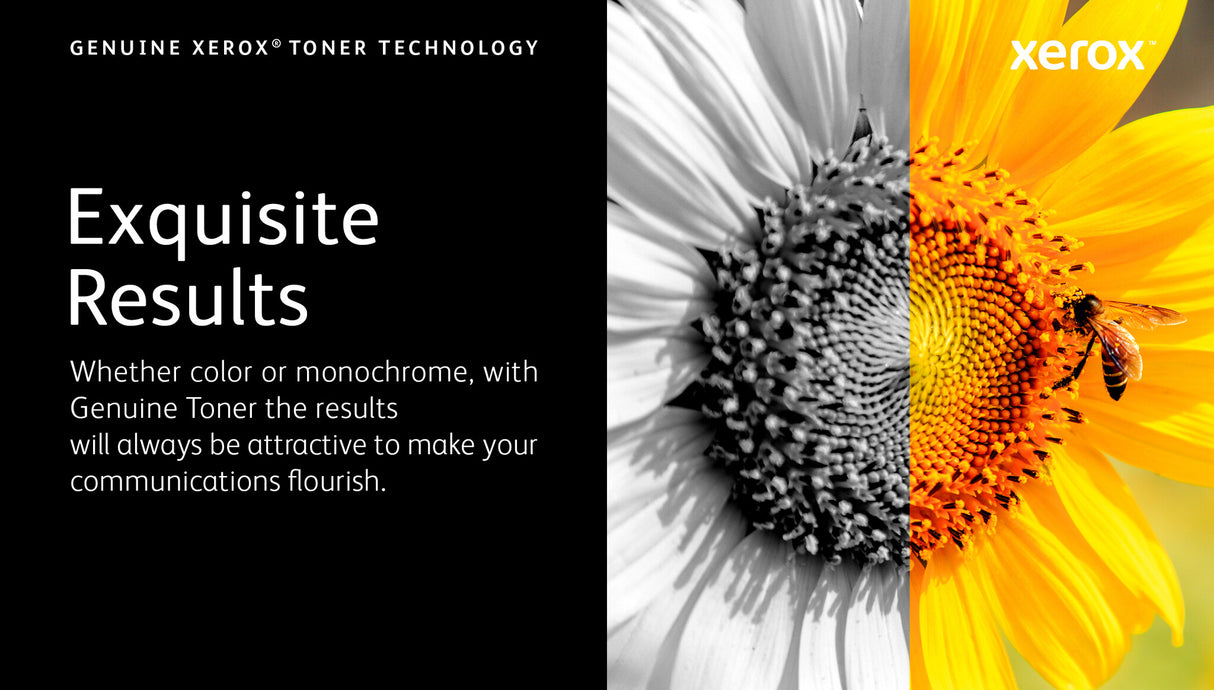 Xerox Genuine ® C320 Color Printer/C325 Color Multifunction Printer Cyan Standard capacity Toner Cartridge (1800 Pages) - 006R04820