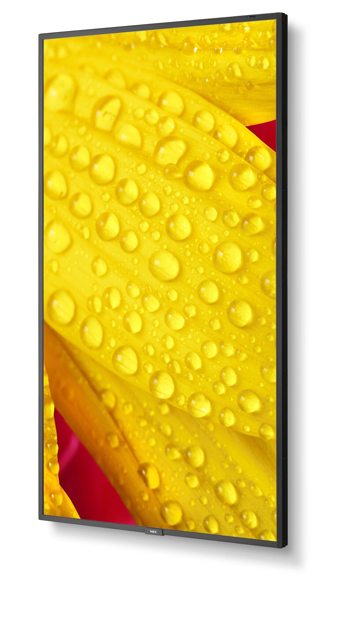 NEC MultiSync M551-2 Kiosk design 127 cm (50") LED 4K Ultra HD Black Built-in processor