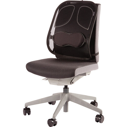 Fellowes Back Support for Office Chair - Professional Series Mesh Office Chair Back Support - Easy To Attach - H19.53 x W30.32 x D36.99cm