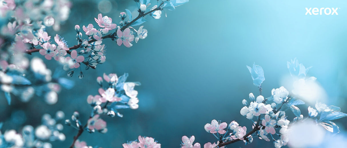 Xerox Genuine ® VersaLink® C7000 Color Printer Cyan High capacity Toner Cartridge (10100 Pages) - 106R03760