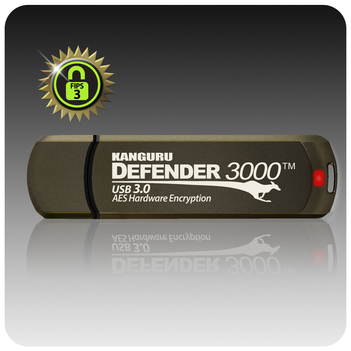 iStorage Kanguru Defender 3000™ SuperSpeed USB 3.0 512 GB| Secure Flash Drive | FIPS 140-3 Level 3 pending, FIPS 140-2 Level 3 Certified | AES-XTS 256-bit Hardware Encryption | TAA Compliant|