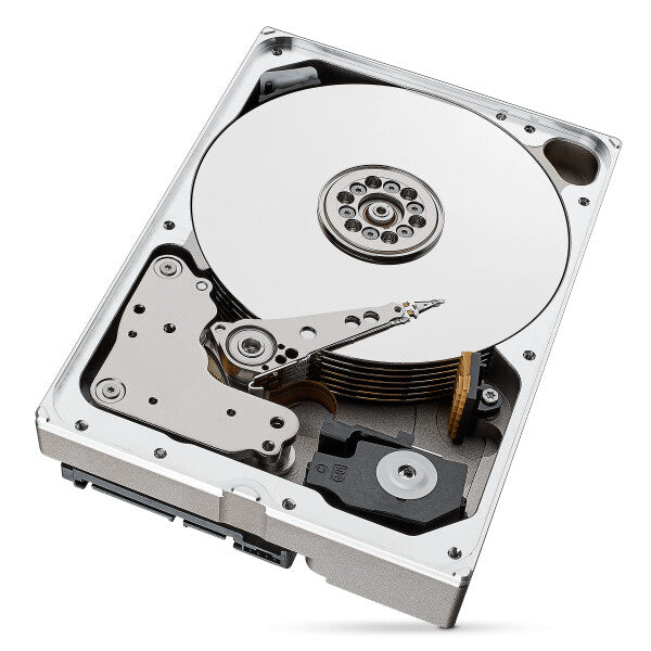Seagate IronWolf Pro ST10000NT001 internal hard drive 10 TB 7200 RPM 256 MB 3.5" Serial ATA III