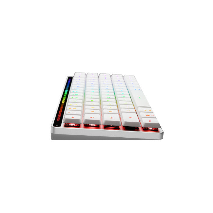 ASUS ROG Falchion RX Low Profile keyboard Mouse included Gaming USB + RF Wireless + Bluetooth White