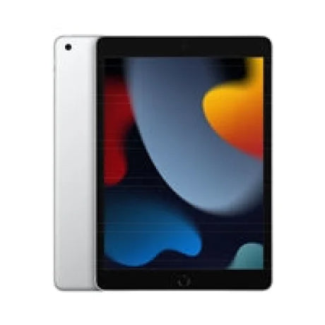 Apple iPad 9th Gen 10.2 Inch Screen 256GB Wi - Fi Silver