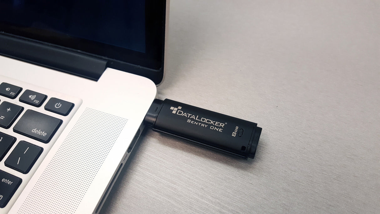 DataLocker Sentry One Encrypted FIPS 140-2 Level 3 32GB Flash Drive
