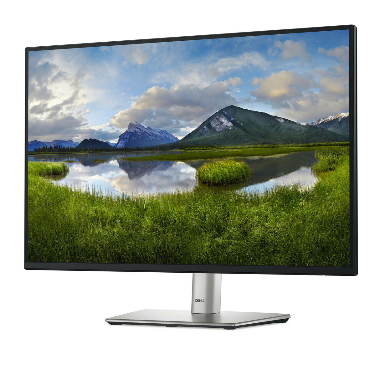 DELL Pro Plus P2425 computer monitor 61.1 cm (24.1") 1920 x 1200 pixels WUXGA LCD Black