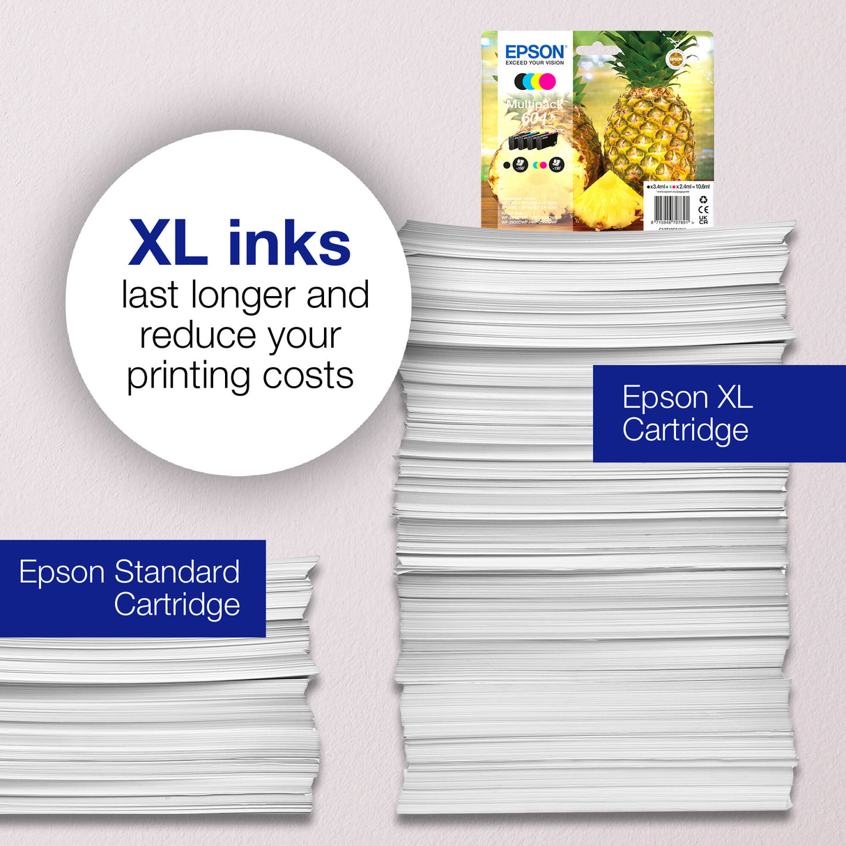 Epson 604 Pineapple Singlepack Black Ink