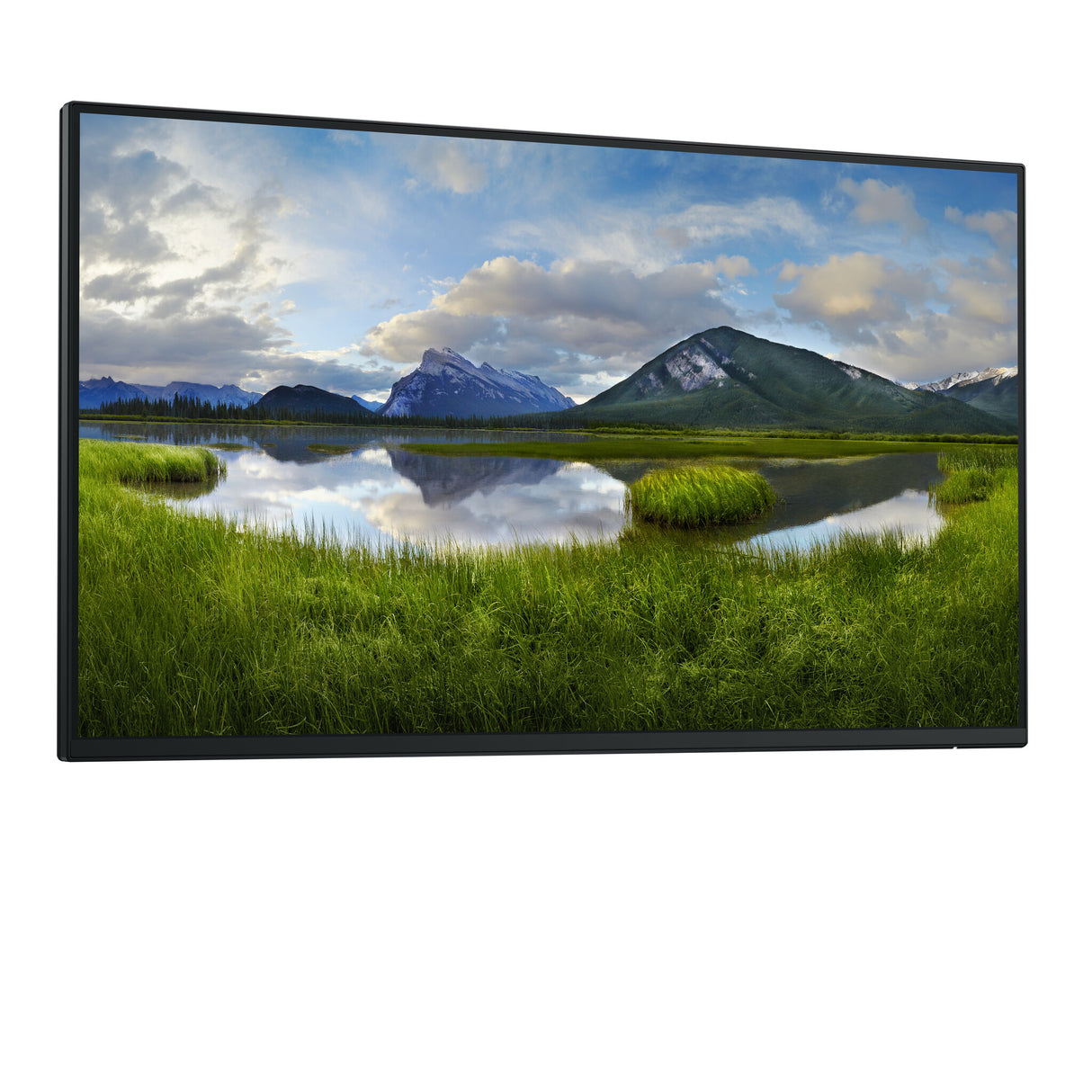 DELL Pro Plus P2425H_WOST computer monitor 61 cm (24") 1920 x 1080 pixels Full HD LCD Black