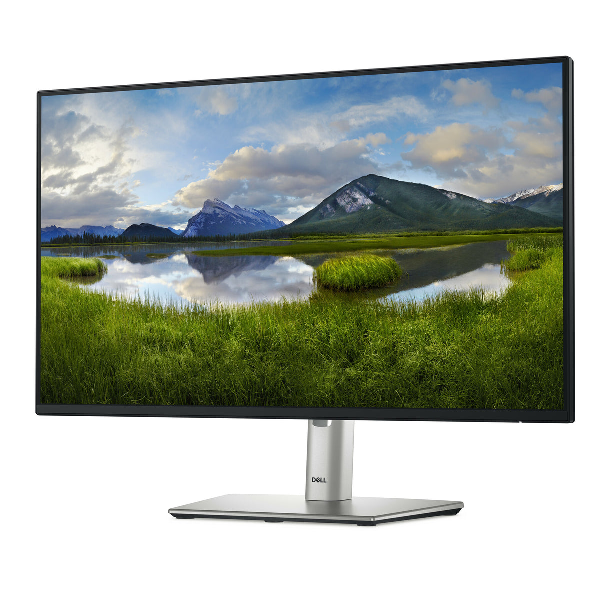 DELL Pro Plus P2425HE computer monitor 60.5 cm (23.8") 1920 x 1080 pixels Full HD LCD Black
