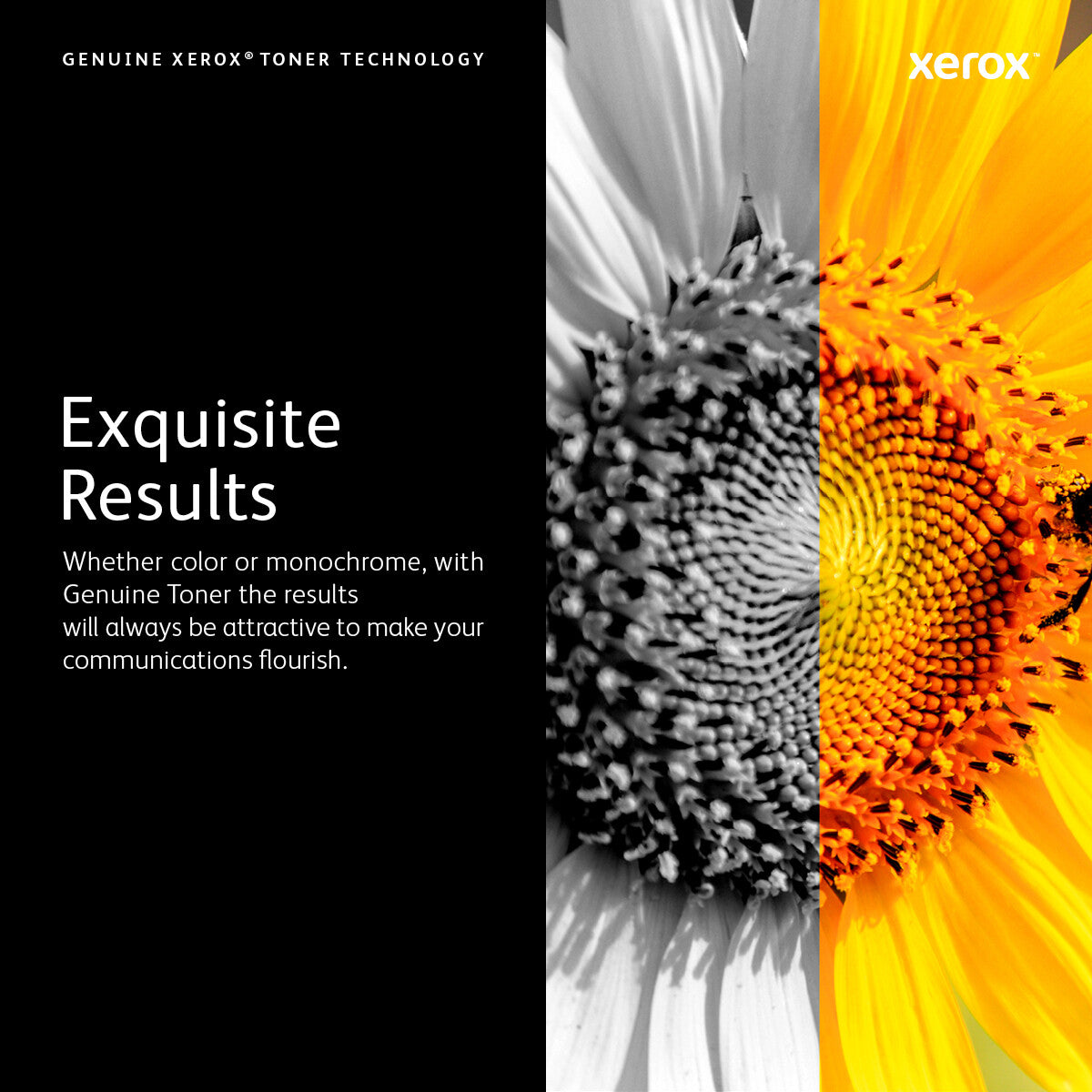 Xerox Genuine ® VersaLink® C600 Color Printer Yellow Extra High capacity Toner Cartridge (16800 Pages) - 106R03922