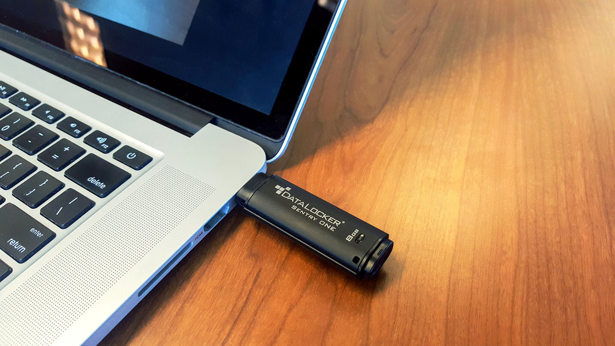 DataLocker Sentry One Encrypted FIPS 140-2 Level 3 16GB Flash Drive