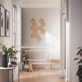 Nanoleaf Elements Hexagon Starter Kit