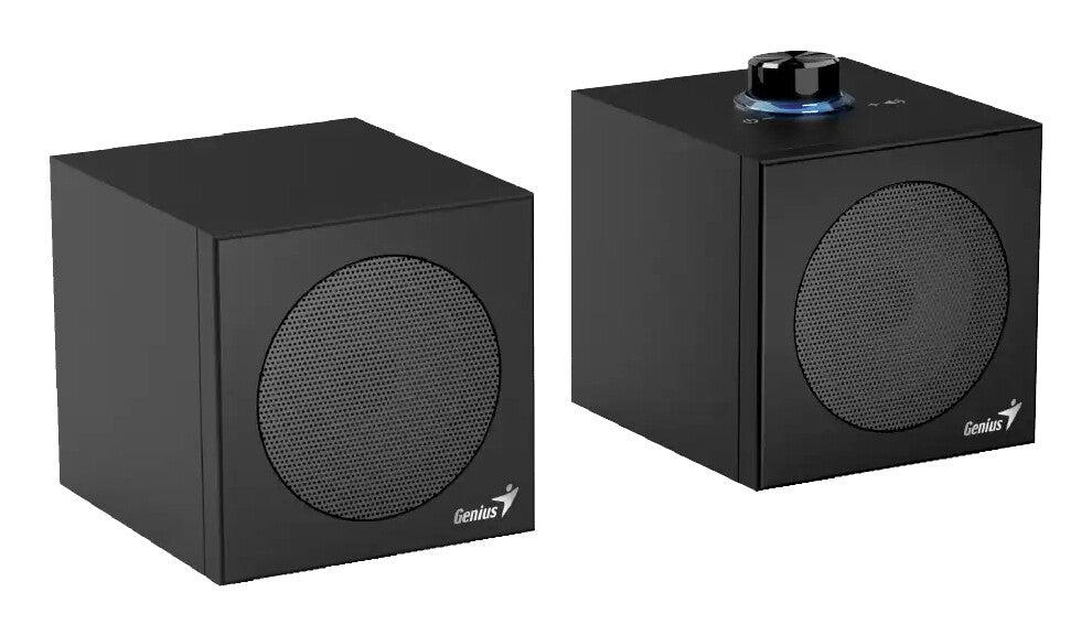 Genius SP-HF300U 1-way Black Wired 4 W