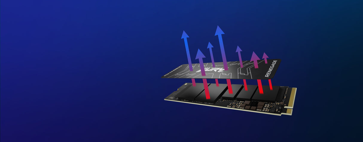 Kingston Technology 4000G FURY RENEGADE M.2 2280 NVMe SSD