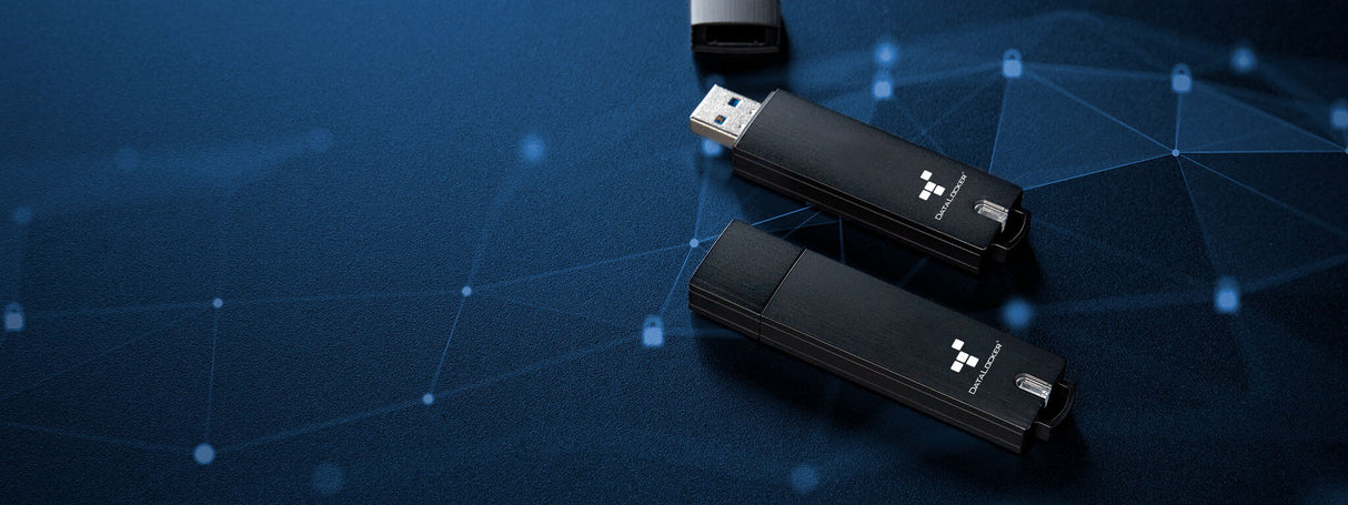 DataLocker Sentry 5 Managed 256GB USB FIPS 140-3 Level 3