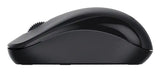 Genius NX-7000 mouse Universal Ambidextrous RF Wireless BlueEye 1200 DPI