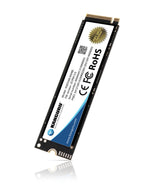 iStorage Kanguru Defender SED300 Hardware-Based Self-Encrypting Internal SSD 500 GB|FIPS 140-2 Certified | M.2 2280 Internal | PCI Express NVMe (PCI Express NVMe 4.0 x4) | TAA Compliant