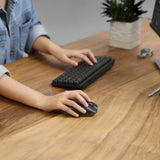ASUS ProArt MD301 mouse Universal Right-hand RF Wireless + Bluetooth + USB Type-A Optical 8000 DPI