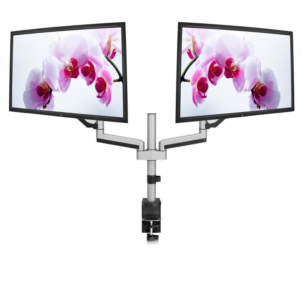 V7 Dual Touch Adjust Monitor Mount