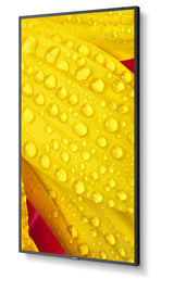 NEC MultiSync M551-2 Kiosk design 127 cm (50") LED 4K Ultra HD Black Built-in processor