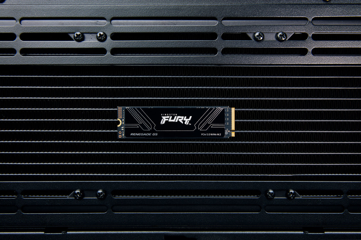 Kingston Technology 4T FURY RENEGADE G5 M.2 2280 NVMe SSD