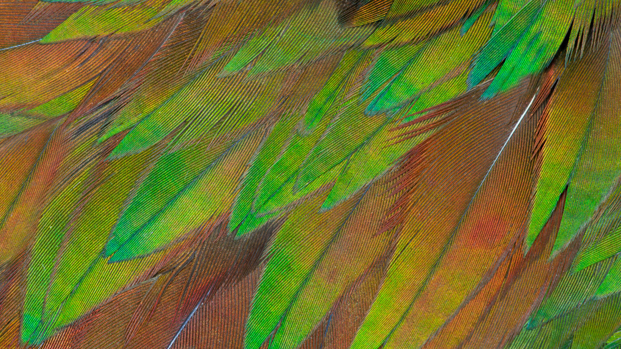 Philips 3000 series 27B1U3900/00 computer monitor 68.6 cm (27") 3840 x 2160 pixels 4K Ultra HD LCD Black