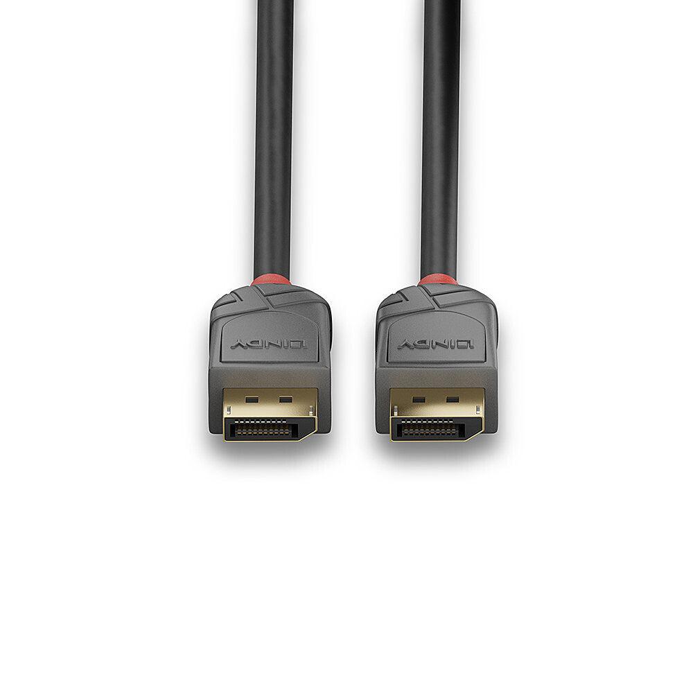 Lindy 1m DisplayPort 1.4 Cable, Anthra Line