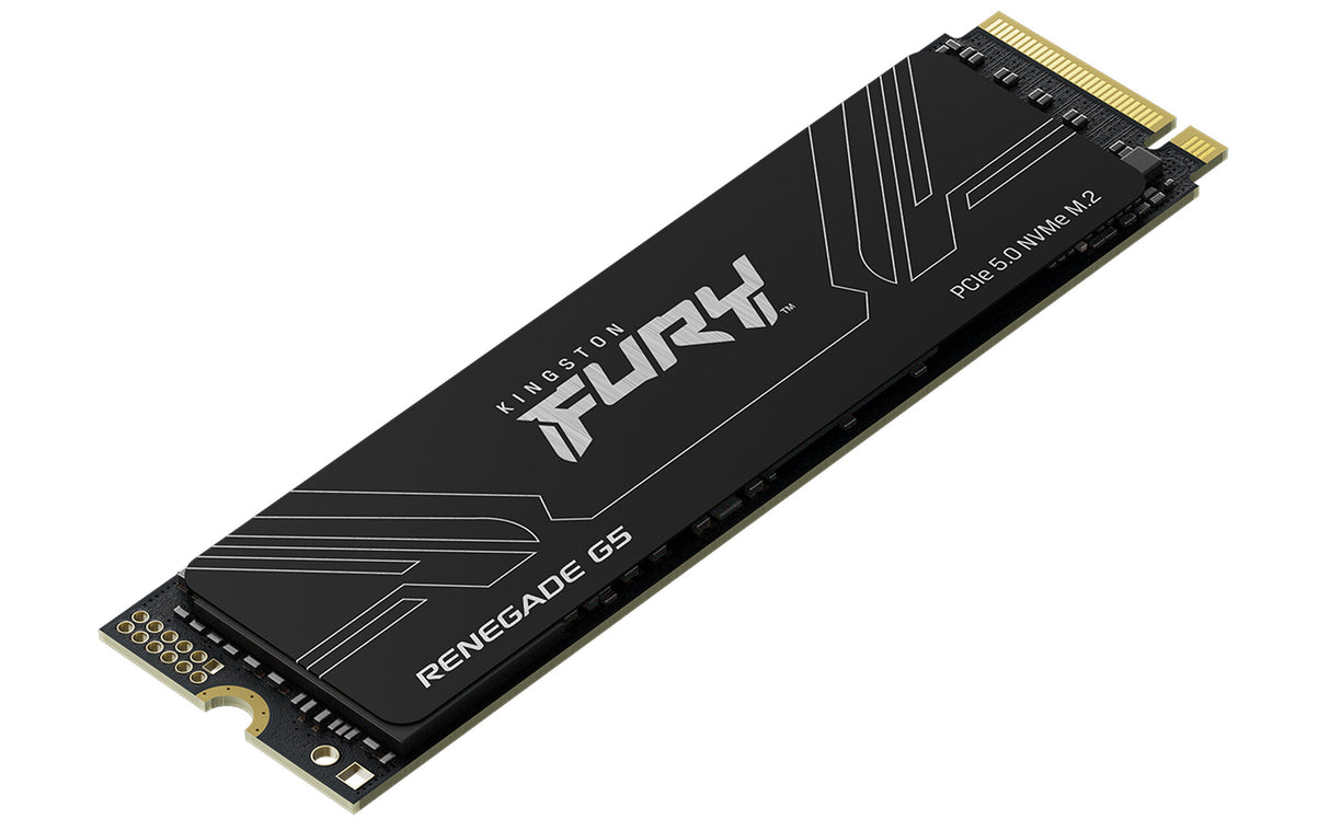 Kingston Technology 1T FURY RENEGADE G5 M.2 2280 NVMe SSD