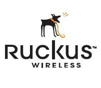 RUCKUS Networks ZoneDirector 3000 License Upgrade (25>50) English