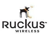 RUCKUS Networks ZoneDirector 3000 License Upgrade (25>50) English
