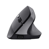 Trust TM-270 mouse Office Right-hand RF Wireless Optical 2400 DPI