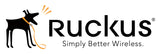 RUCKUS Networks CLD-CLP5-9999 warranty/support extension 1 license(s) 1 year(s)