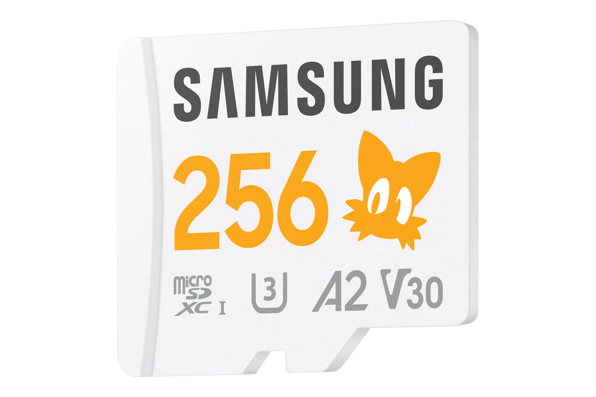 Samsung MB-MD256S 256 GB MicroSDXC UHS-I Class 10