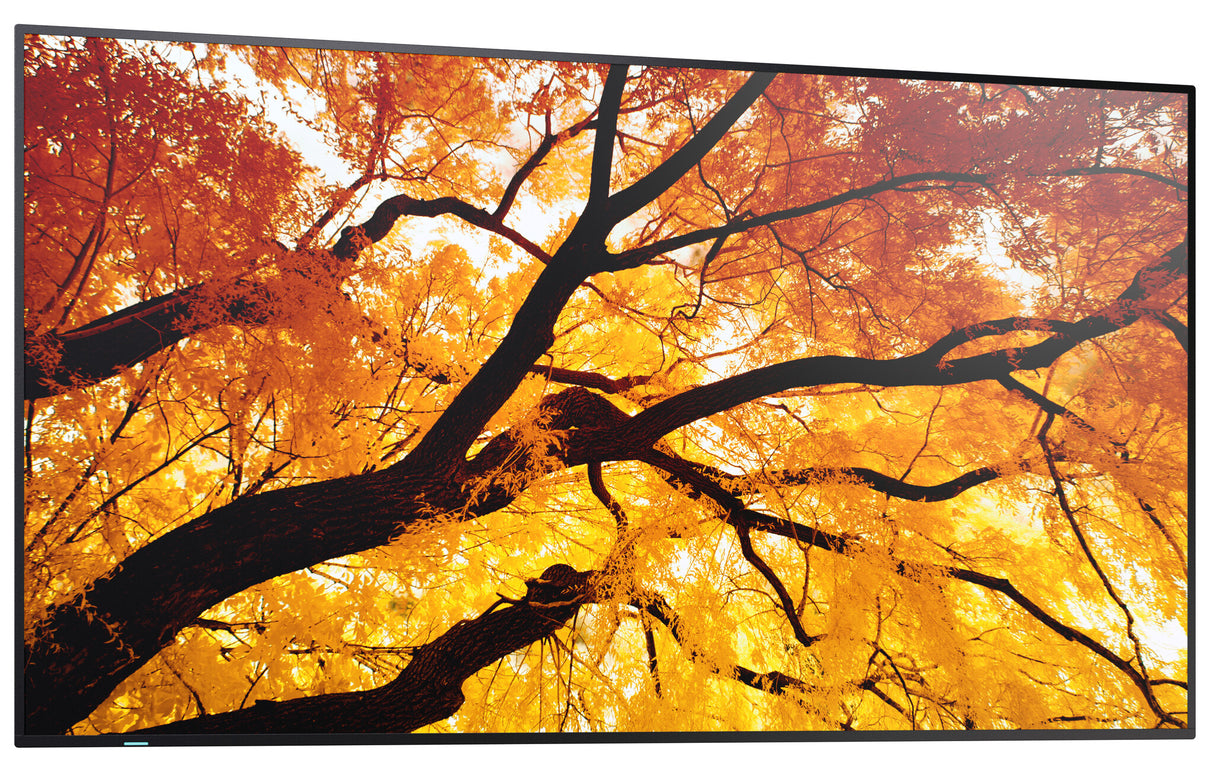 Sharp MultiSync M552 Digital signage flat panel 139.7 cm (55") LCD 550 cd/m² 4K Ultra HD Black Touchscreen