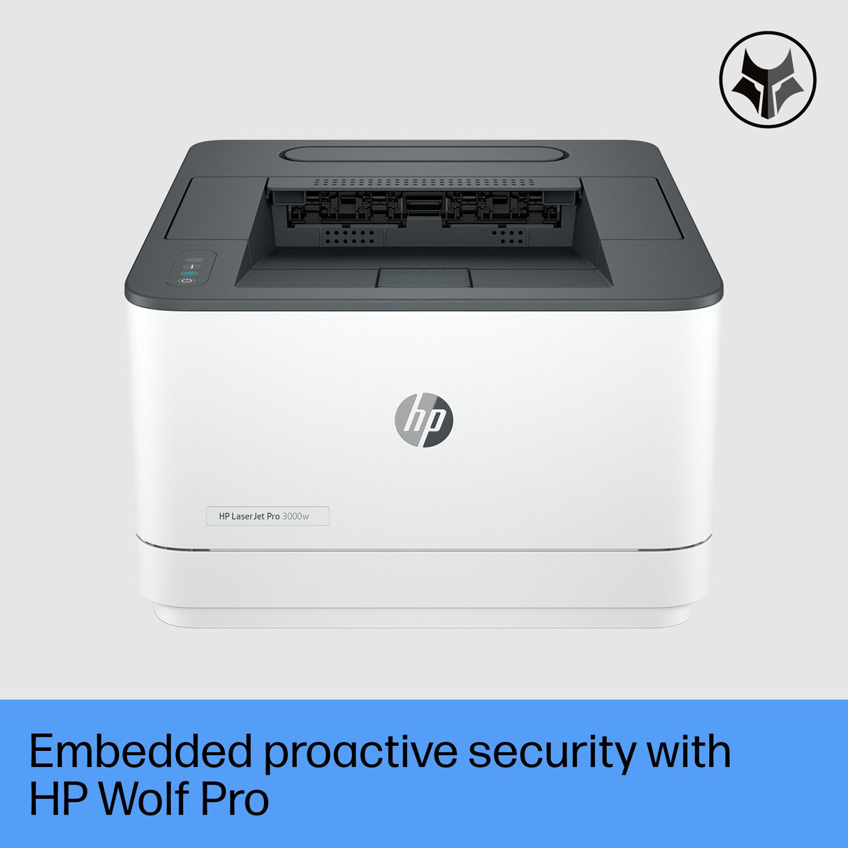 HP LaserJet Pro 3002dn Printer