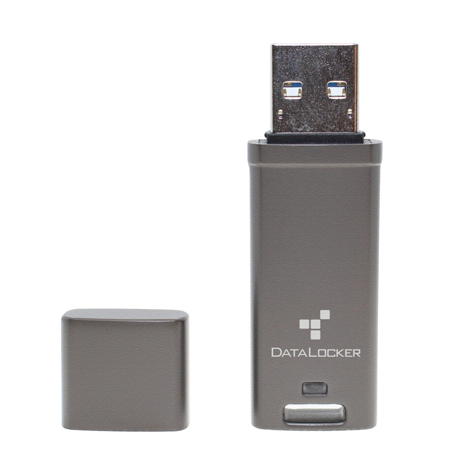 DataLocker DL GO 4GB Password-Protected, Encrypted USB-A Flash Drive AES FIPS 197 Optionally Managed