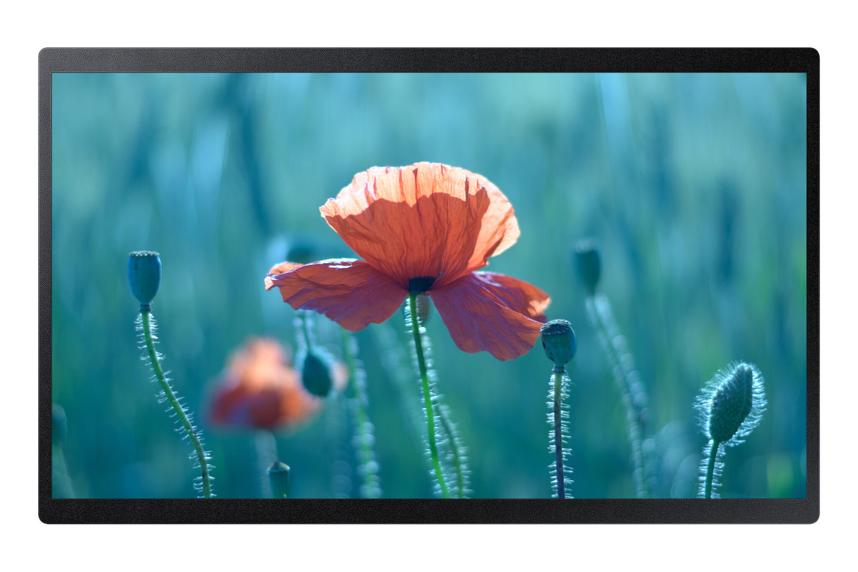 Samsung QB24R-B Digital signage flat panel 61 cm (24") LCD Wi-Fi 250 cd/m² Full HD Black Built-in processor Tizen 4.0 16/7