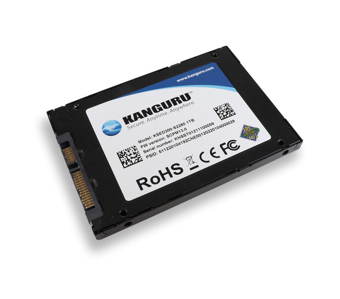iStorage Kanguru Defender SED300 Hardware-Based Self-Encrypting Internal SATA SSD 500 GB | FIPS 140-2 Level 2 Certified | Self-Encrypting 2.5” SATA SSD |TAA Compliant