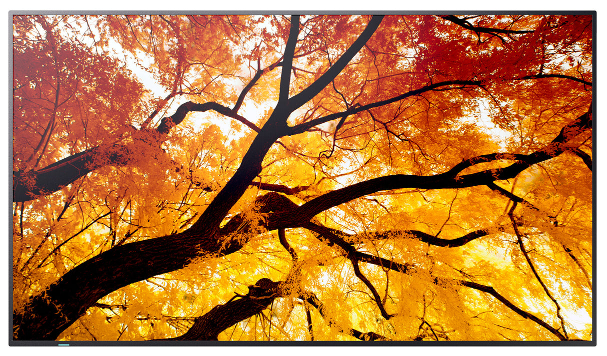 Sharp MultiSync M552 Digital signage flat panel 139.7 cm (55") LCD 550 cd/m² 4K Ultra HD Black Touchscreen