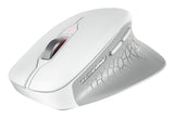 CHERRY STREAM MOUSE COMFORT