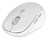 Targus HS2100GL mouse Home Bluetooth