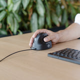 R-Go Tools Ergonomic mouse R-Go HE Break with break software, medium (hand size 165-185 mm), right-handed, Wired, black