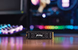 Kingston Technology 1000G FURY RENEGADE M.2 2280 NVMe SSD