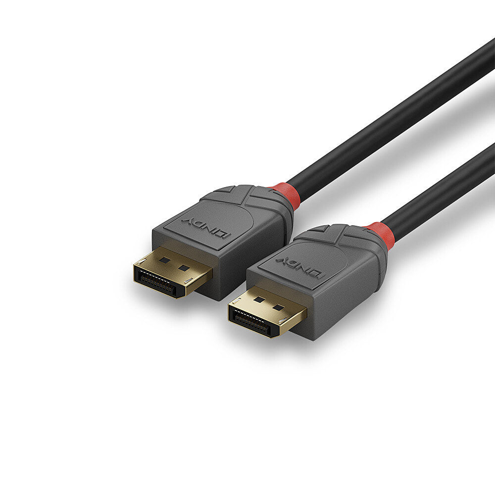 Lindy 0.5m DisplayPort 1.4 Cable, Anthra Line